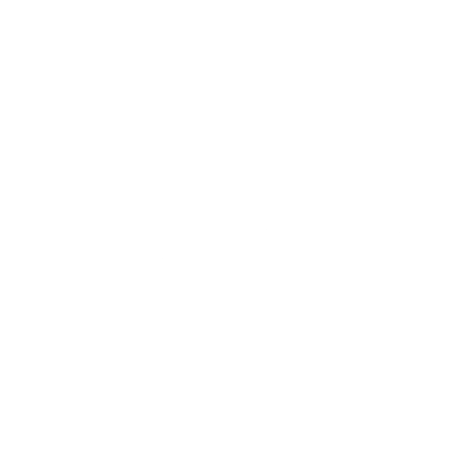 Logo Blanco Hikvision